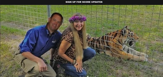 The Epic Pranks Involving purchasing a Domain